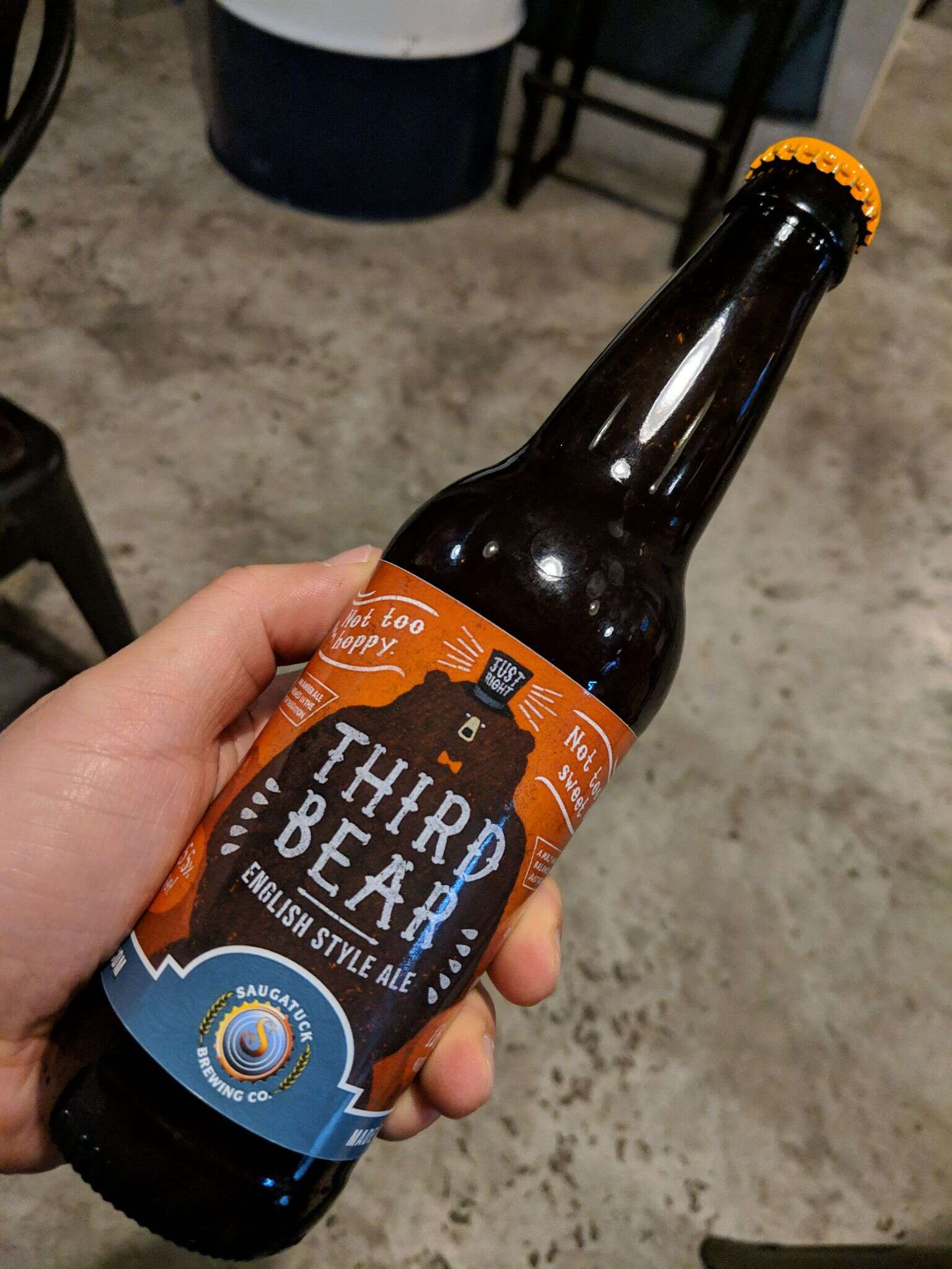 Saugatuck Third Bear 20190222 203732